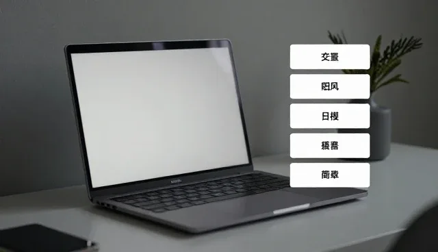 化方案在应用场景中的适用情况与限制分析